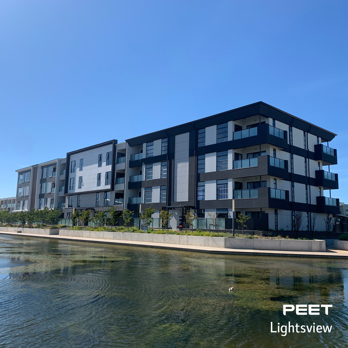 Melisi Projects | Peet Adelaide South Australia Lightsview